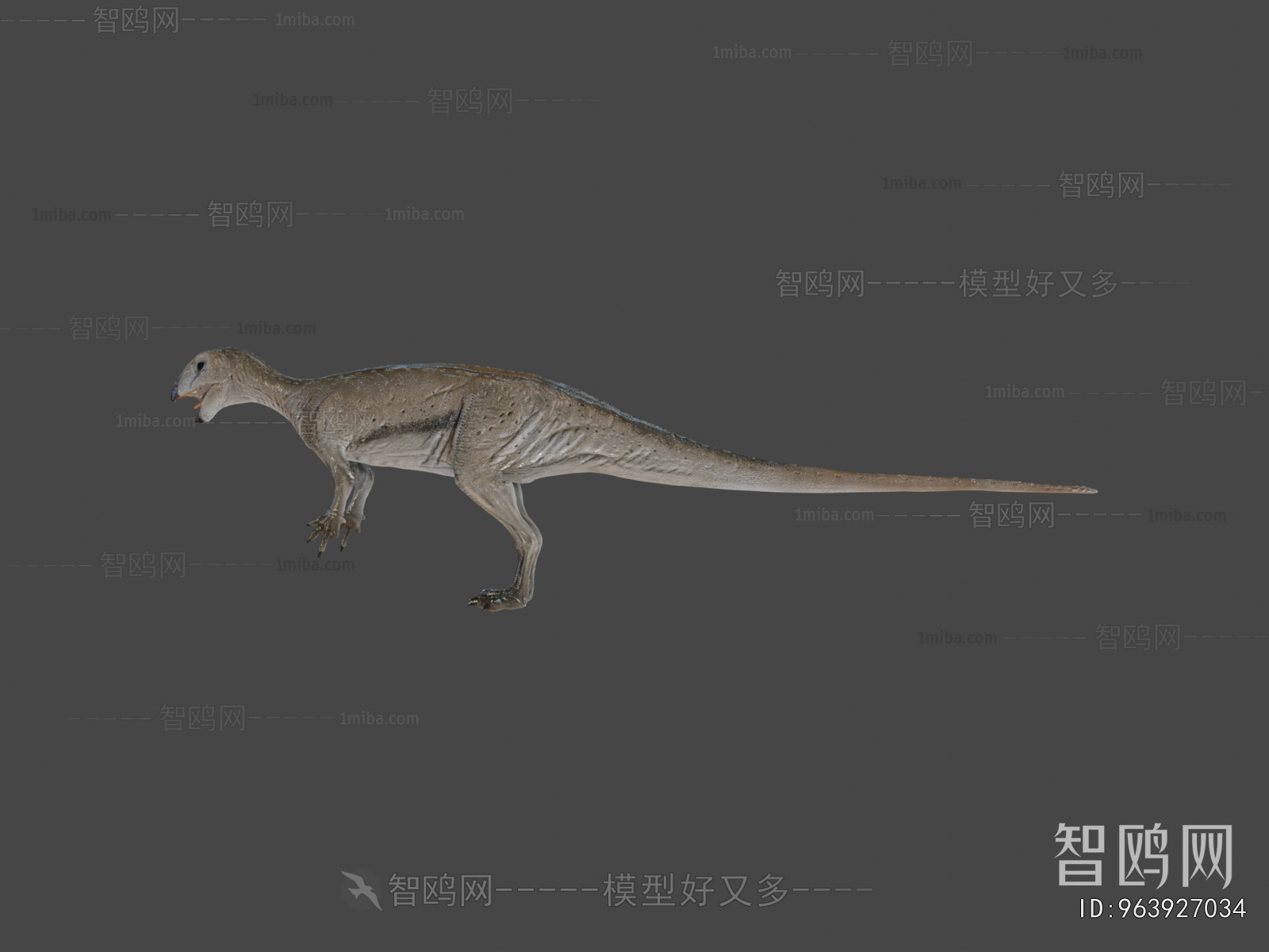 Modern Mammal