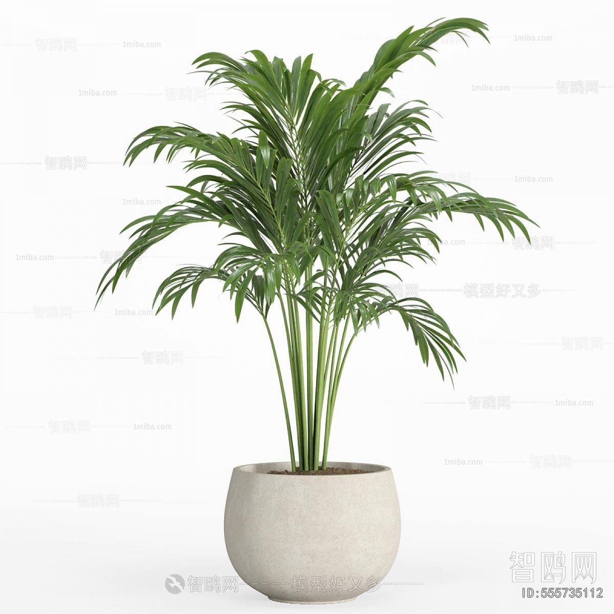 Modern Ground Green Plant Potted Plants