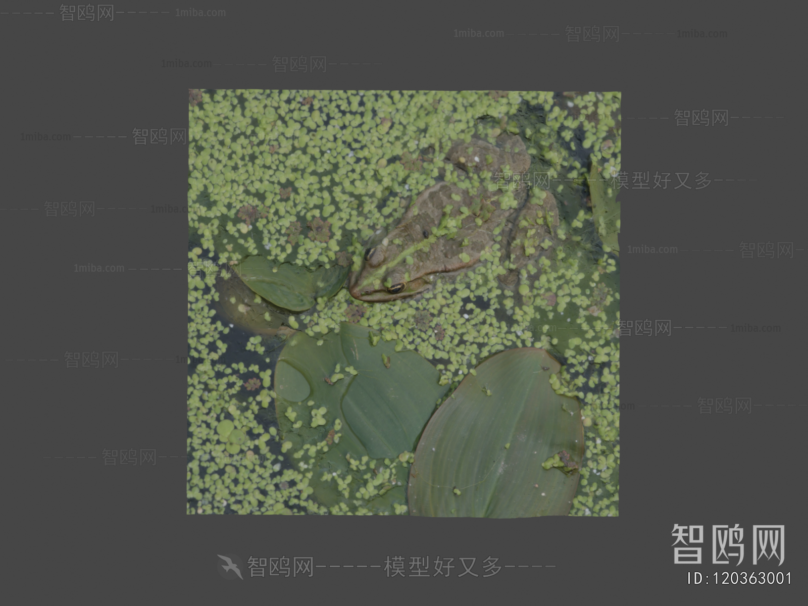 Modern Simple Style Building Component