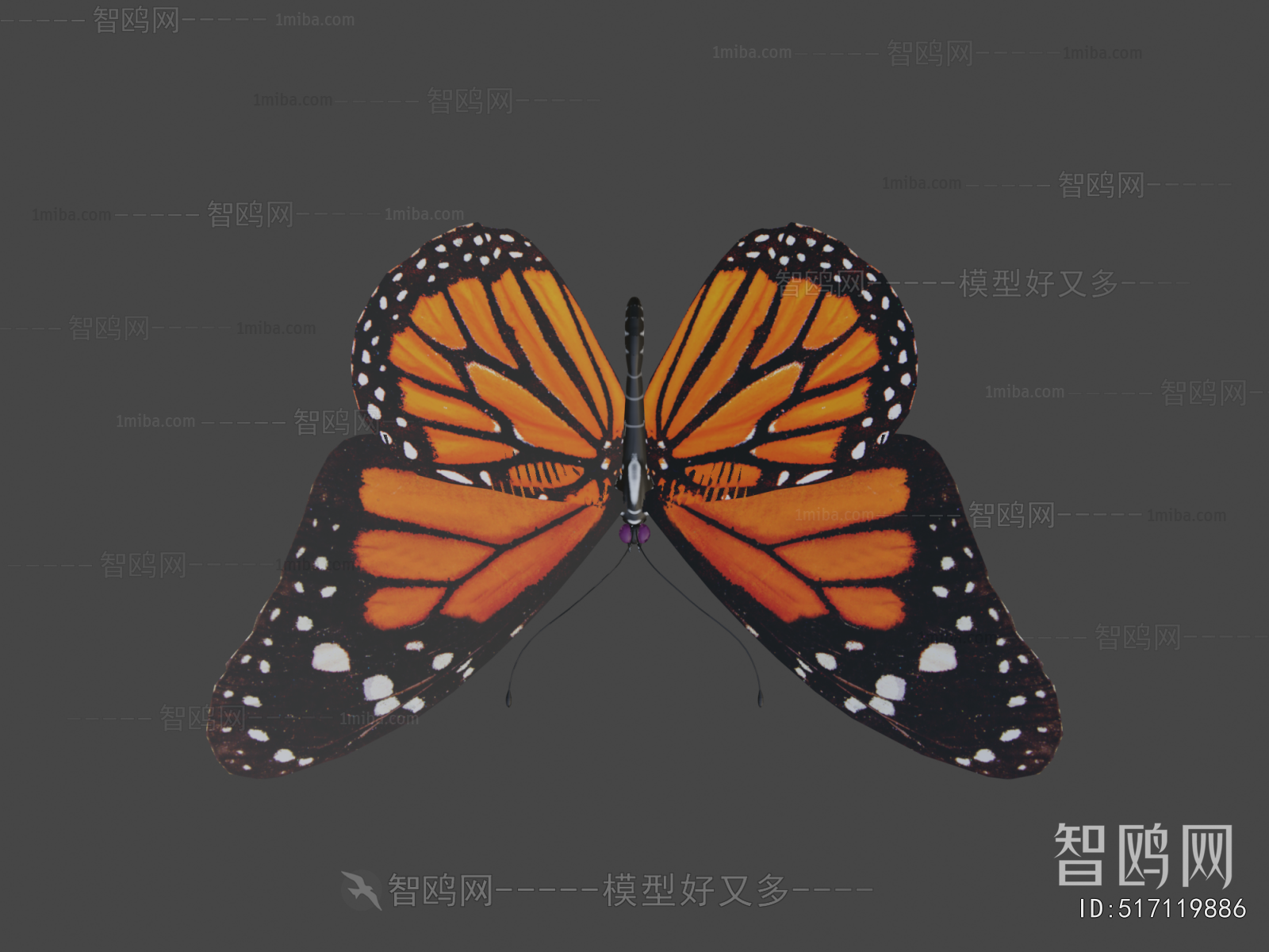 Modern Animal