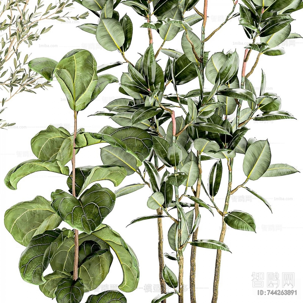 Modern Ground Green Plant Potted Plants