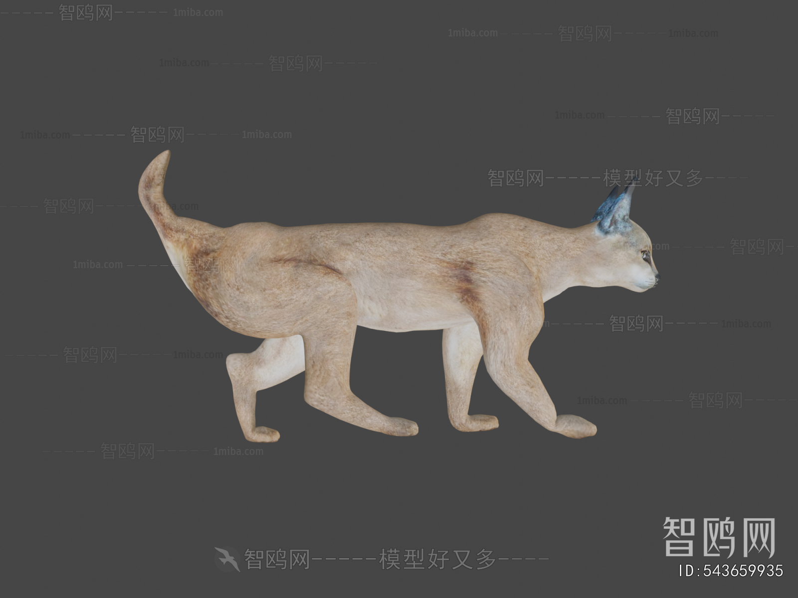 Modern Animal Cat