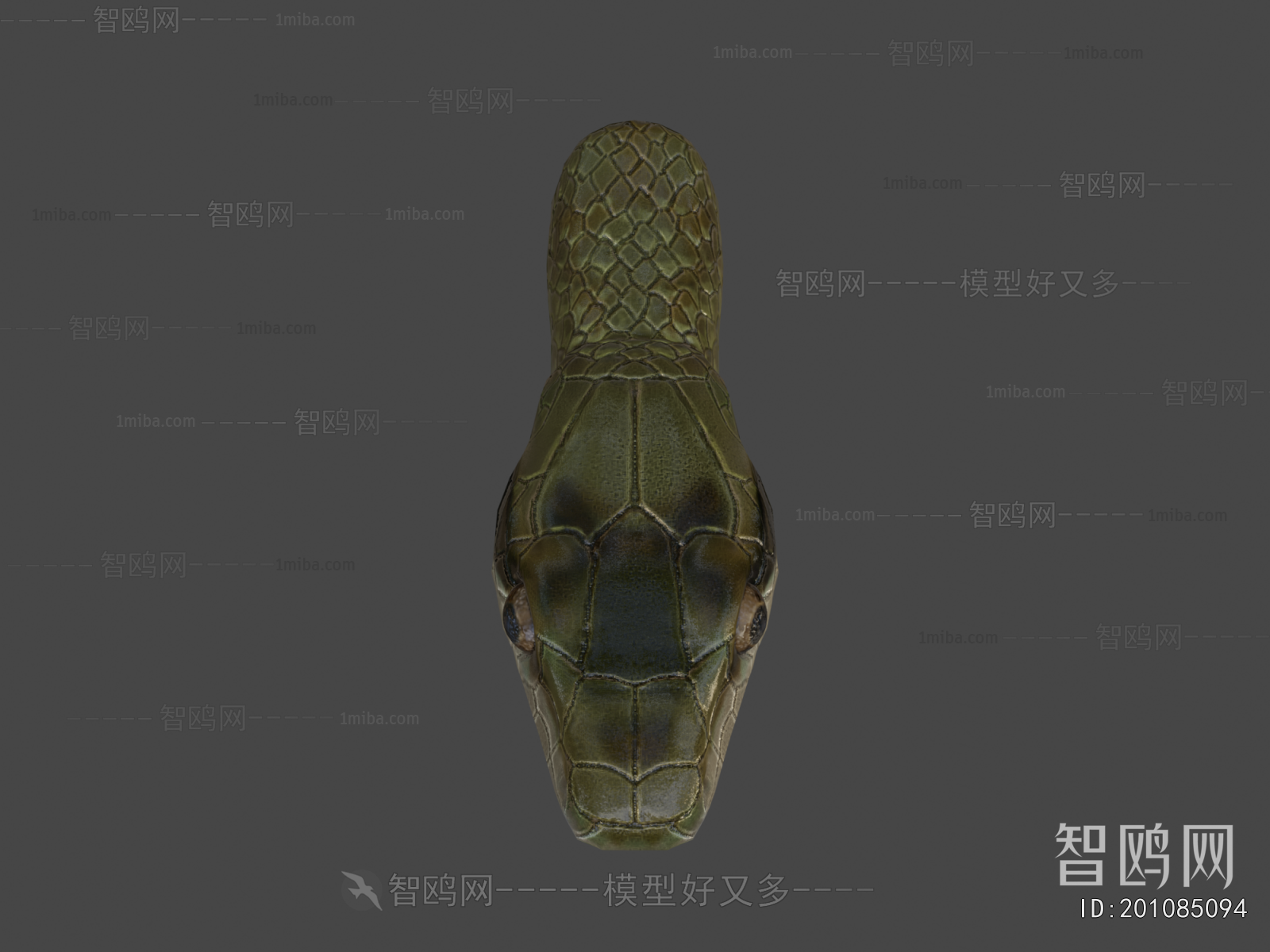 Modern Animal