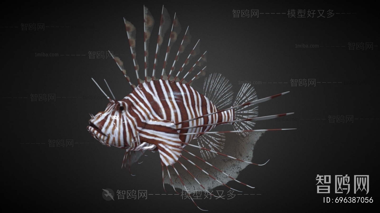 Modern Animal