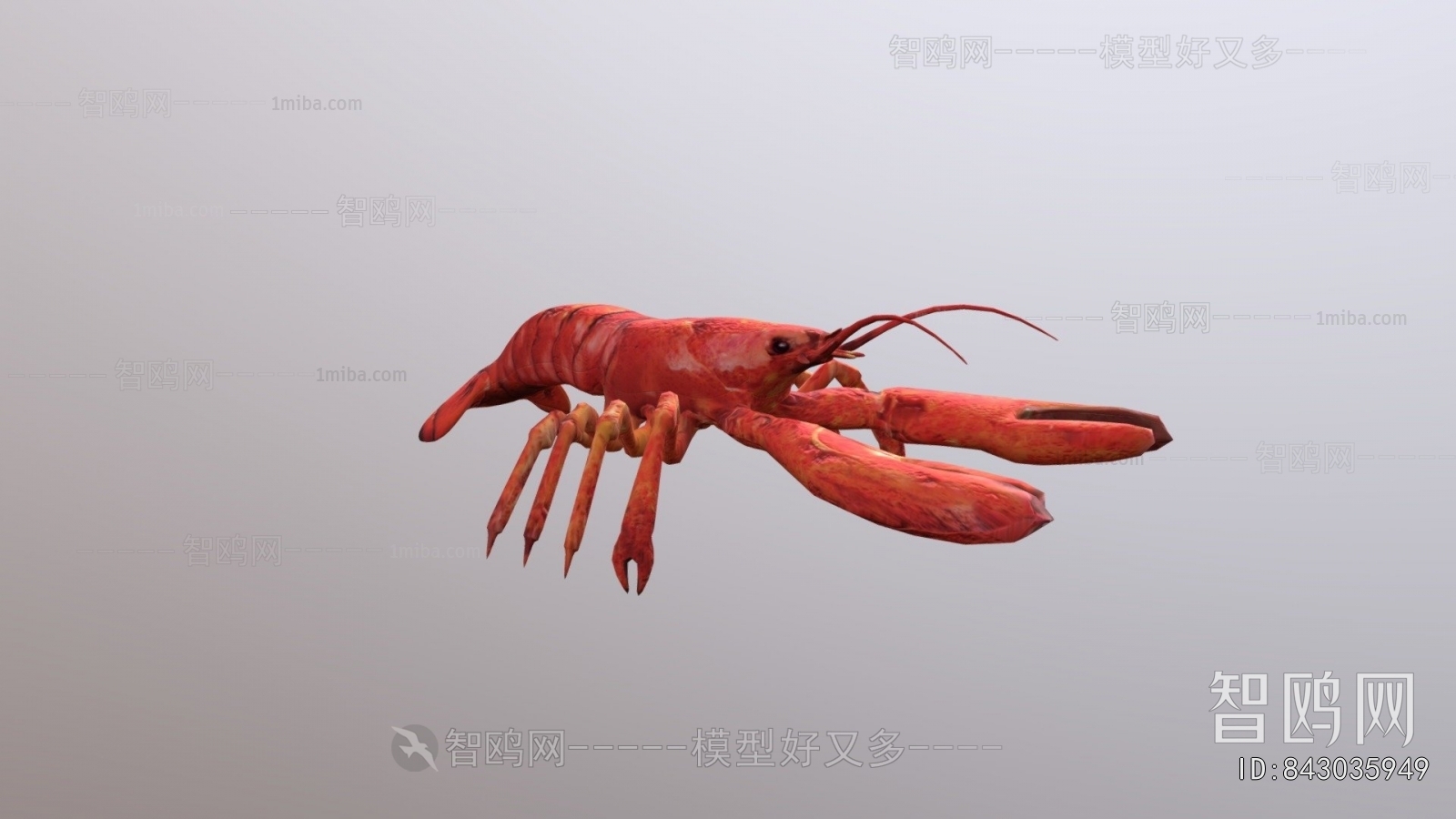 Modern Animal