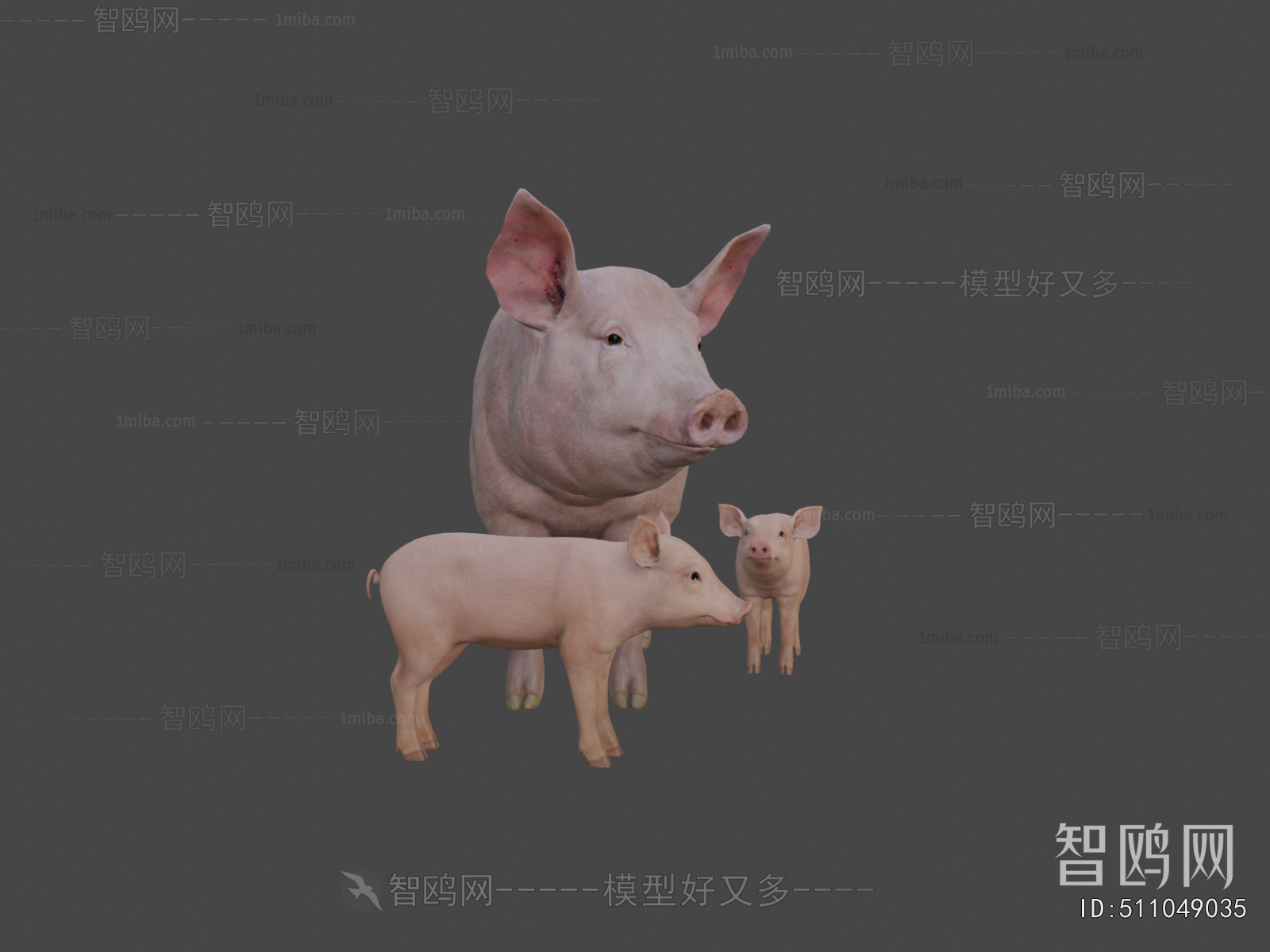 Modern Animal Pig
