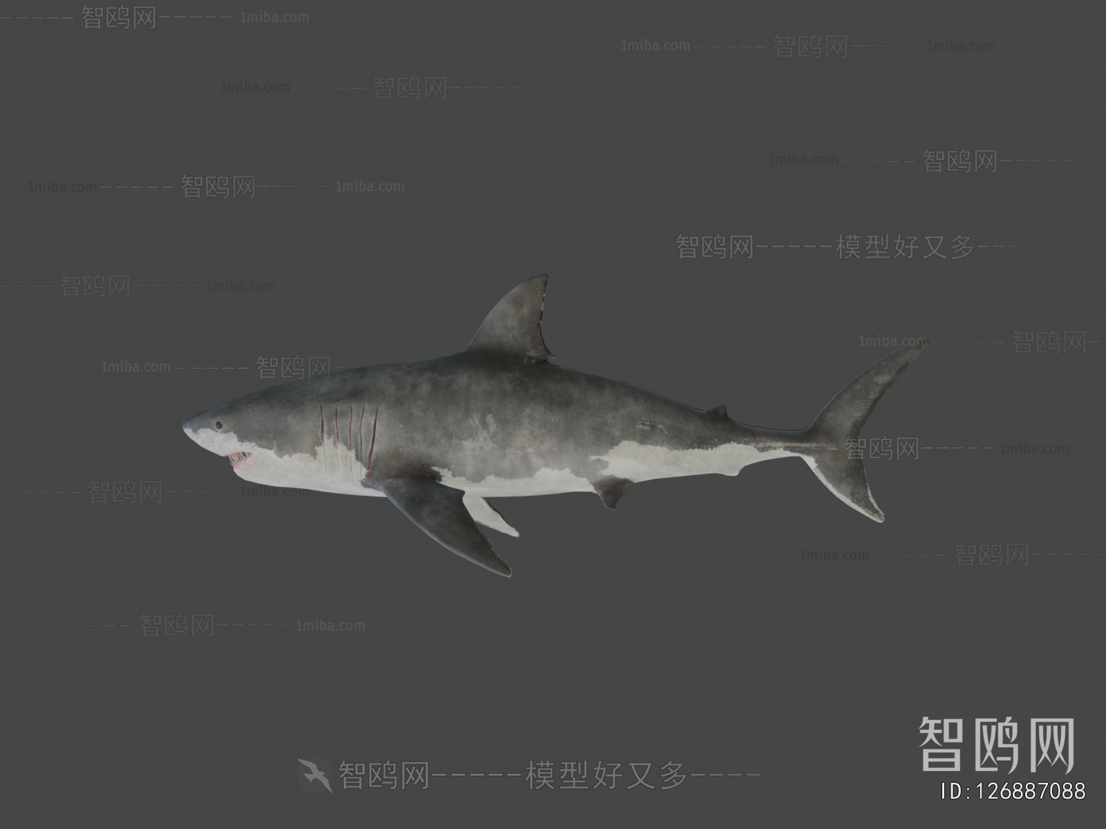 Modern Aquatic Animals