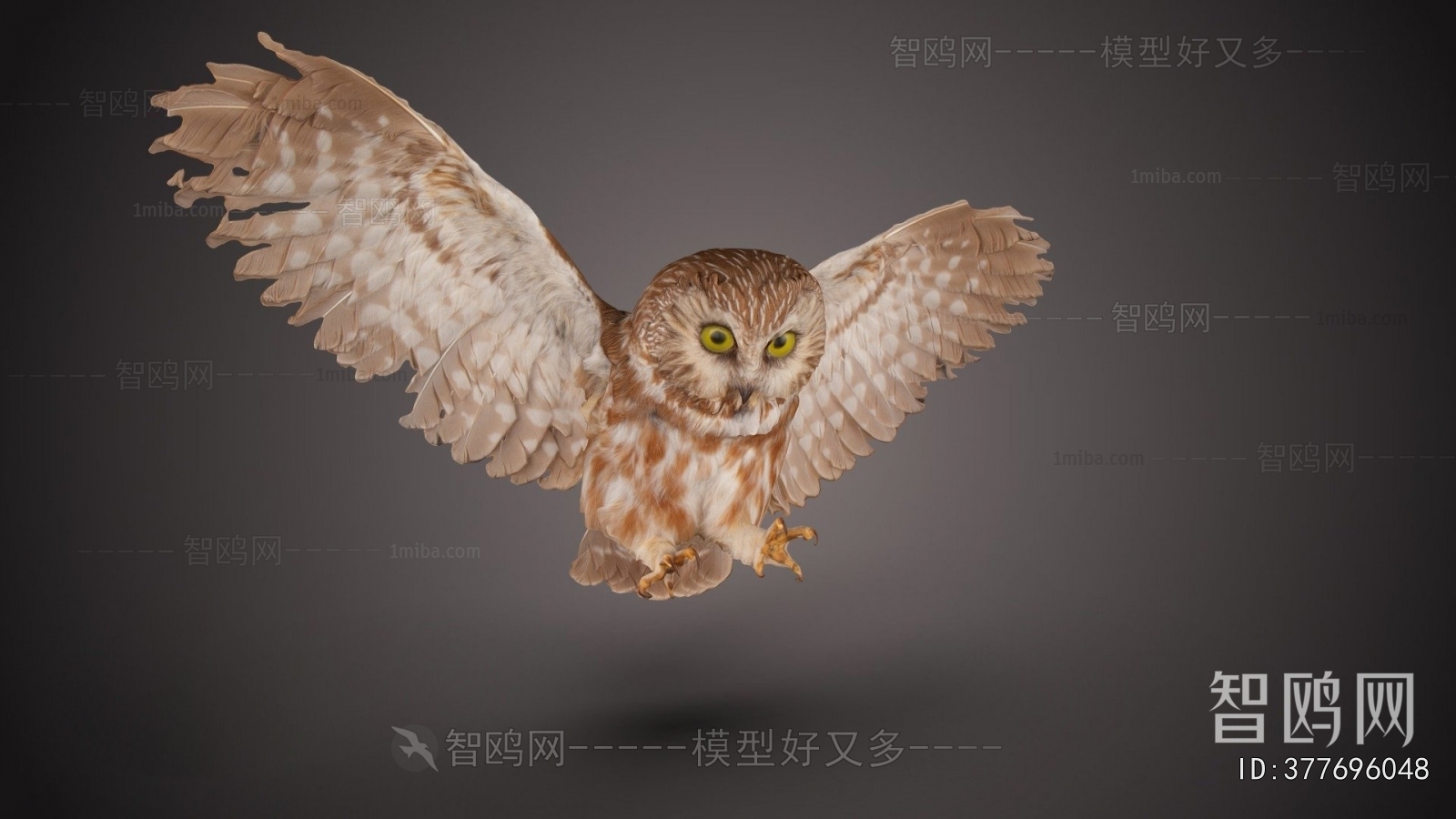 Modern Animal