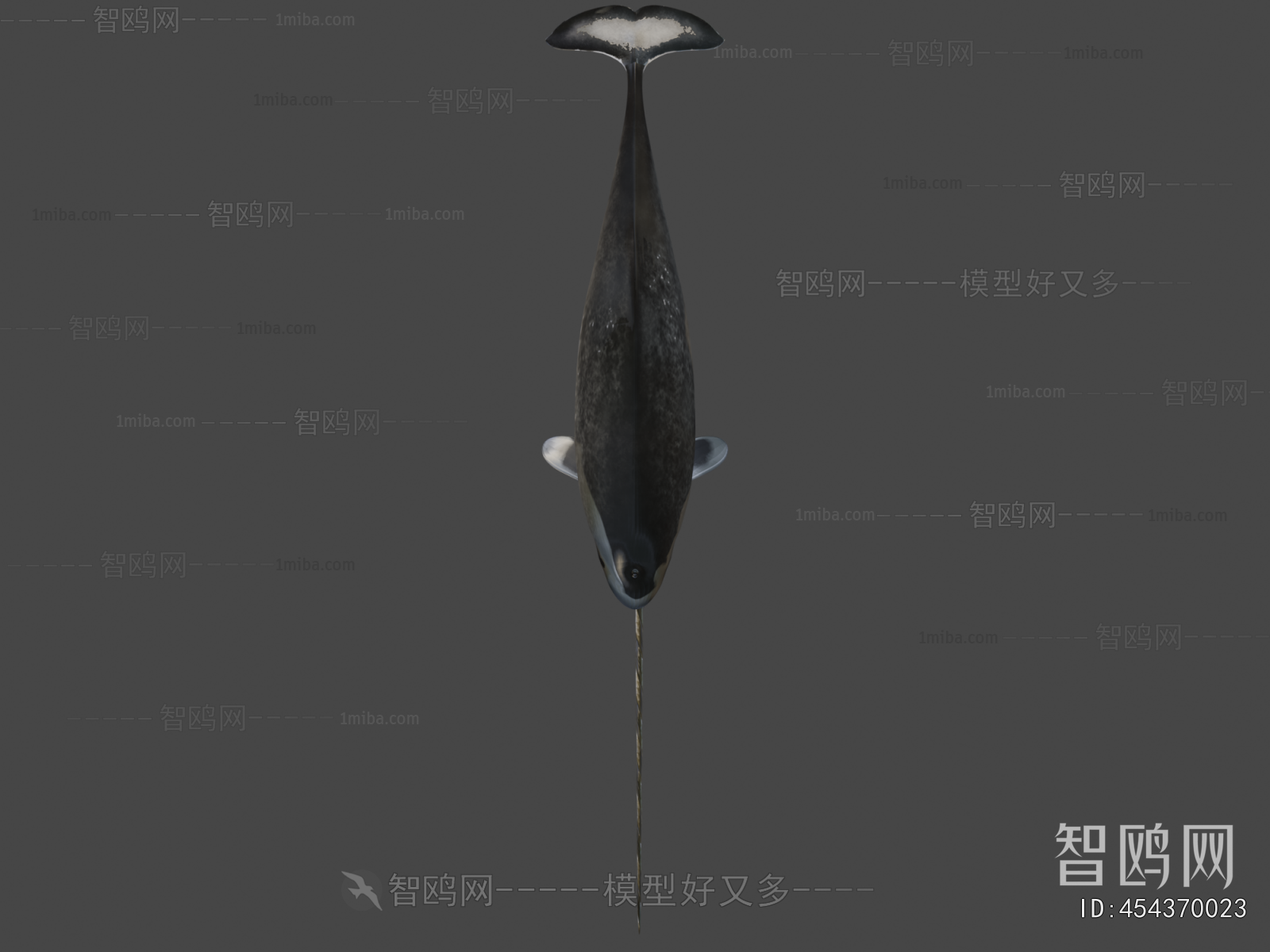 Modern Animal
