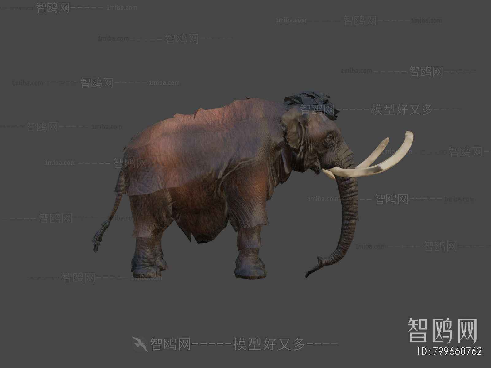 Modern Animal