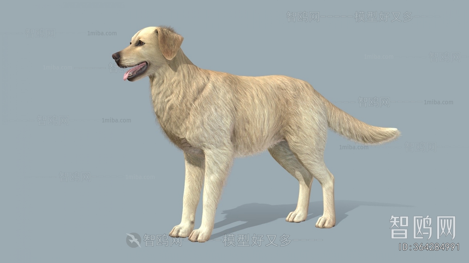 Modern Animal Dog