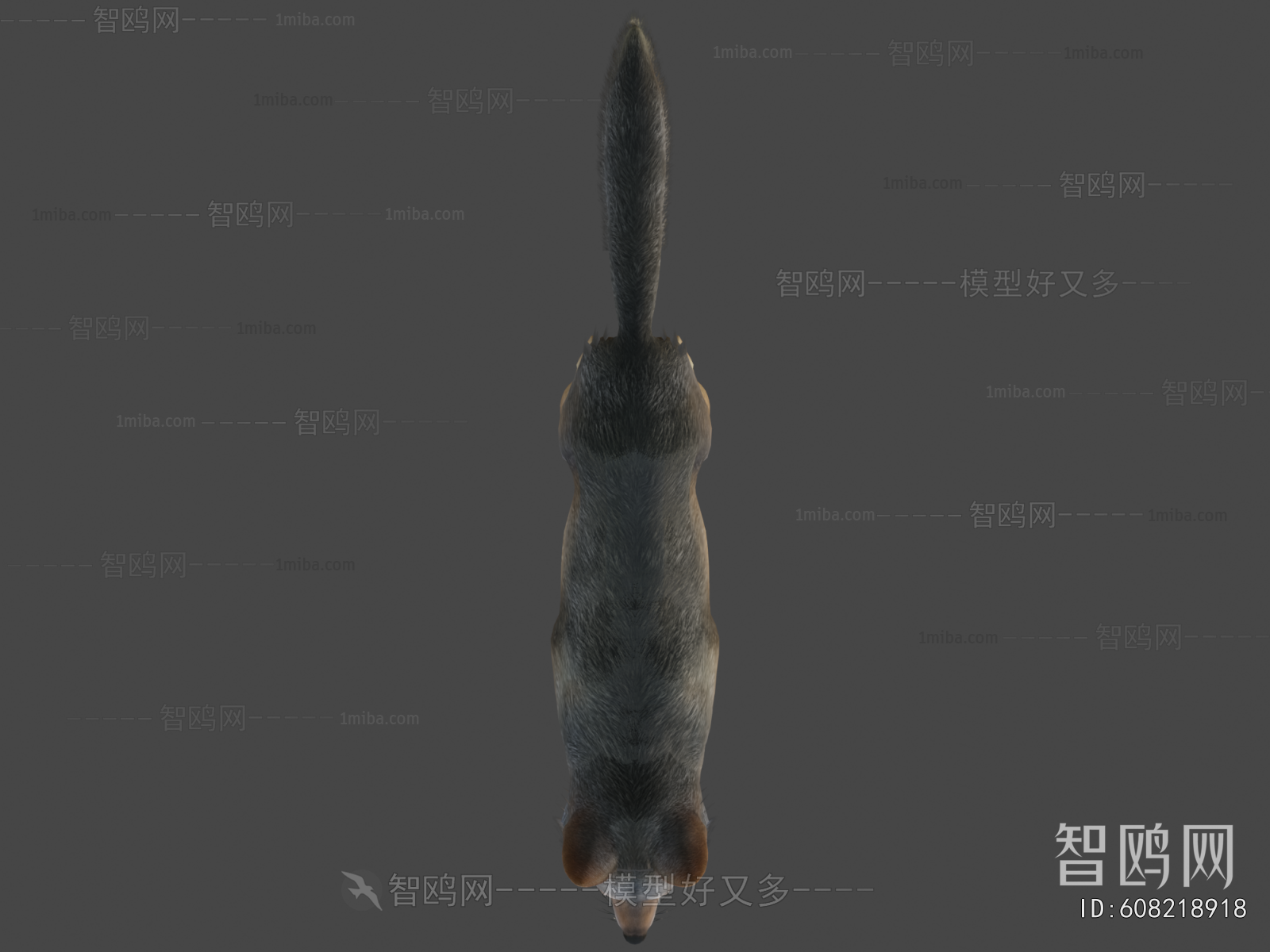 Modern Mammal