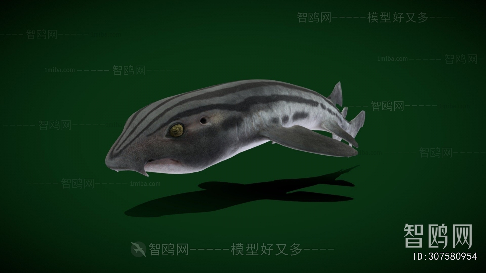 Modern Aquatic Animals