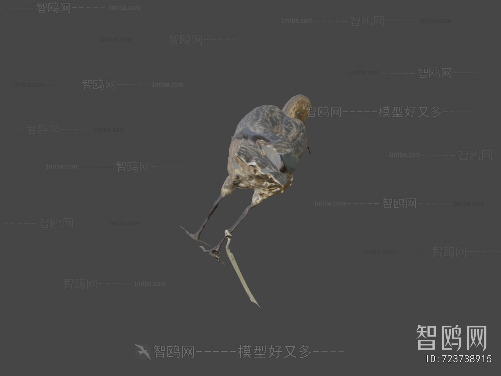 Modern Animal