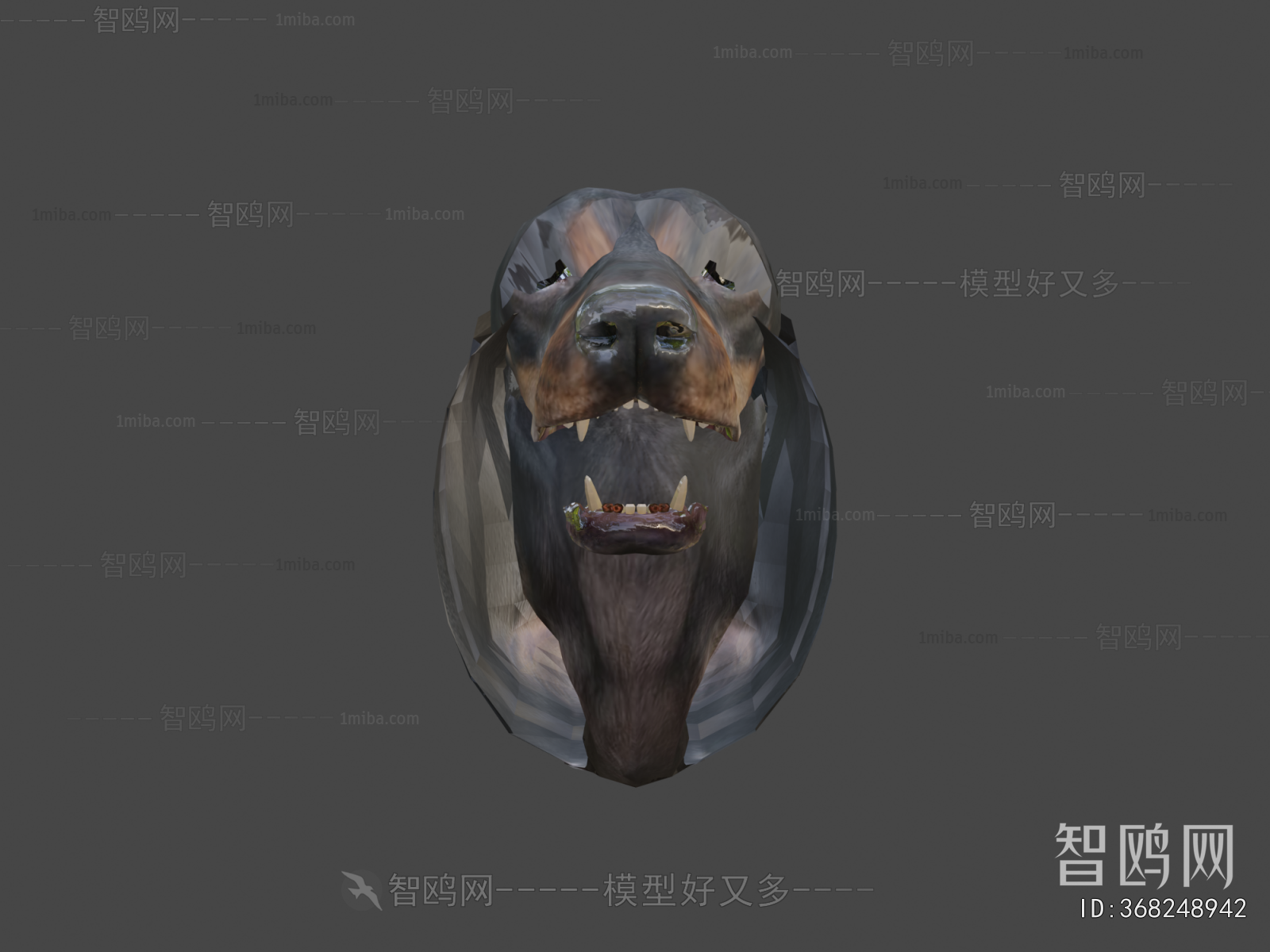 Modern Animal Dog