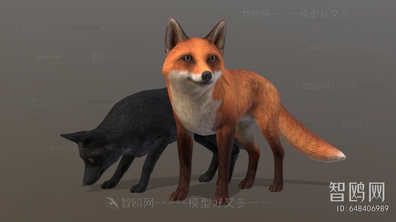 Modern Animal Dog