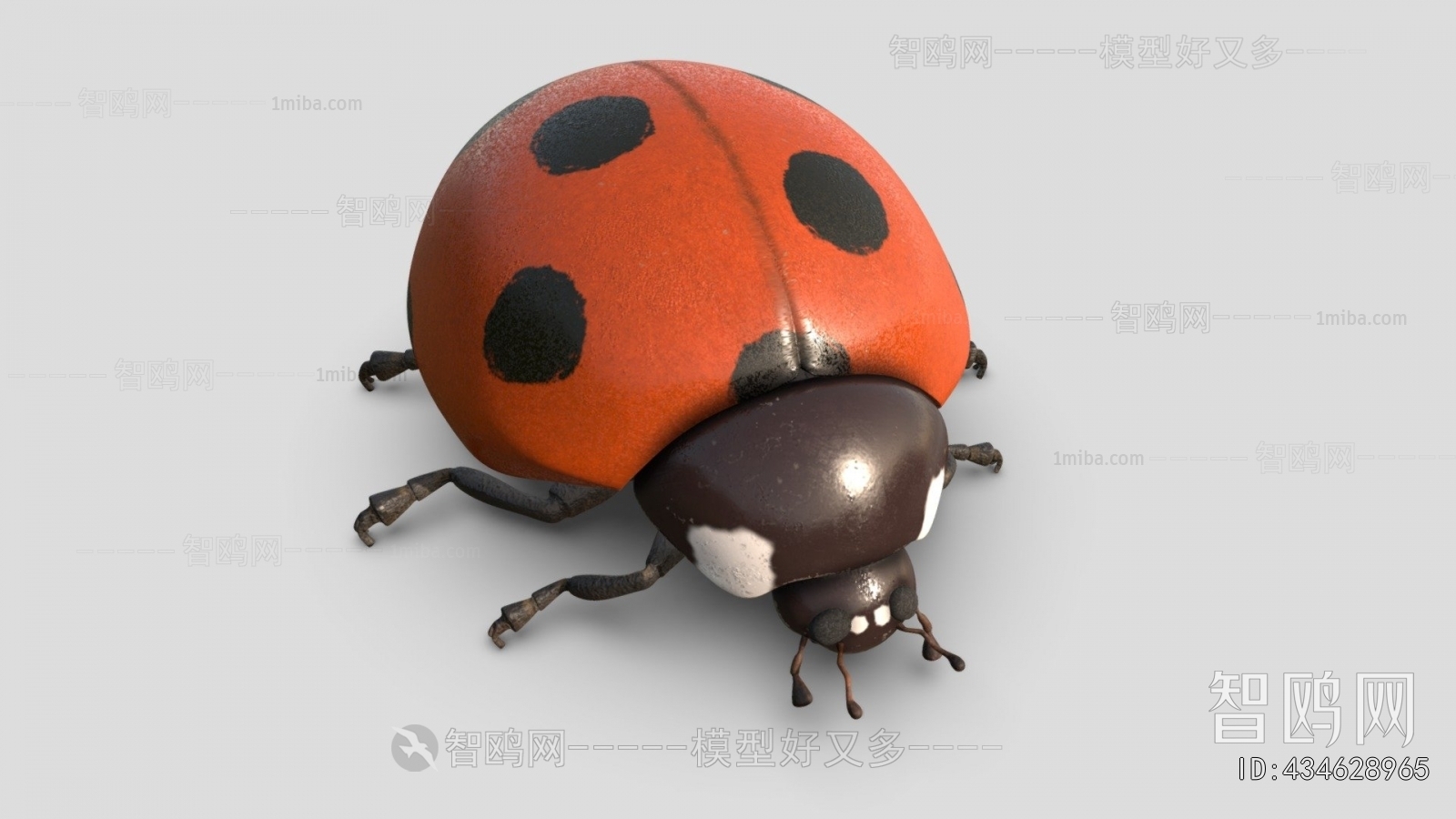 Modern Animal