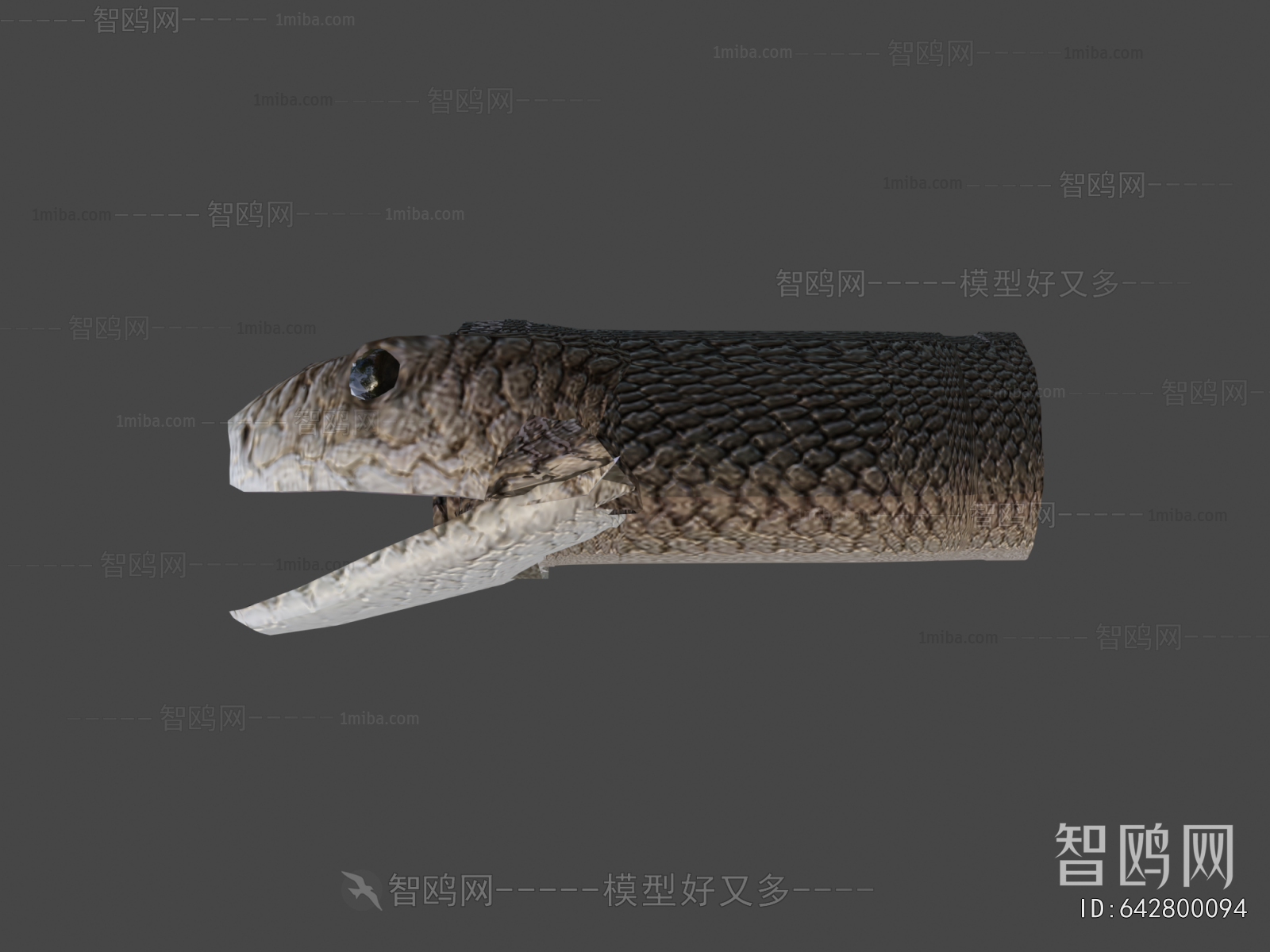 Modern Reptile