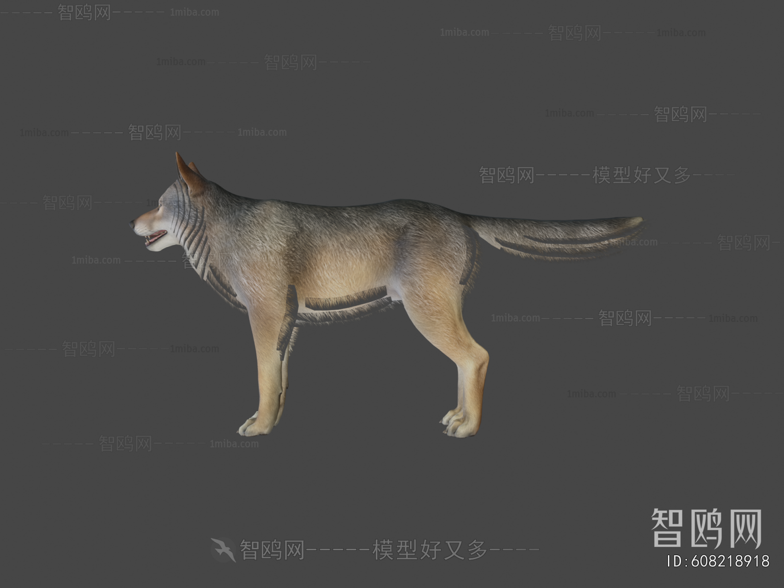 Modern Mammal