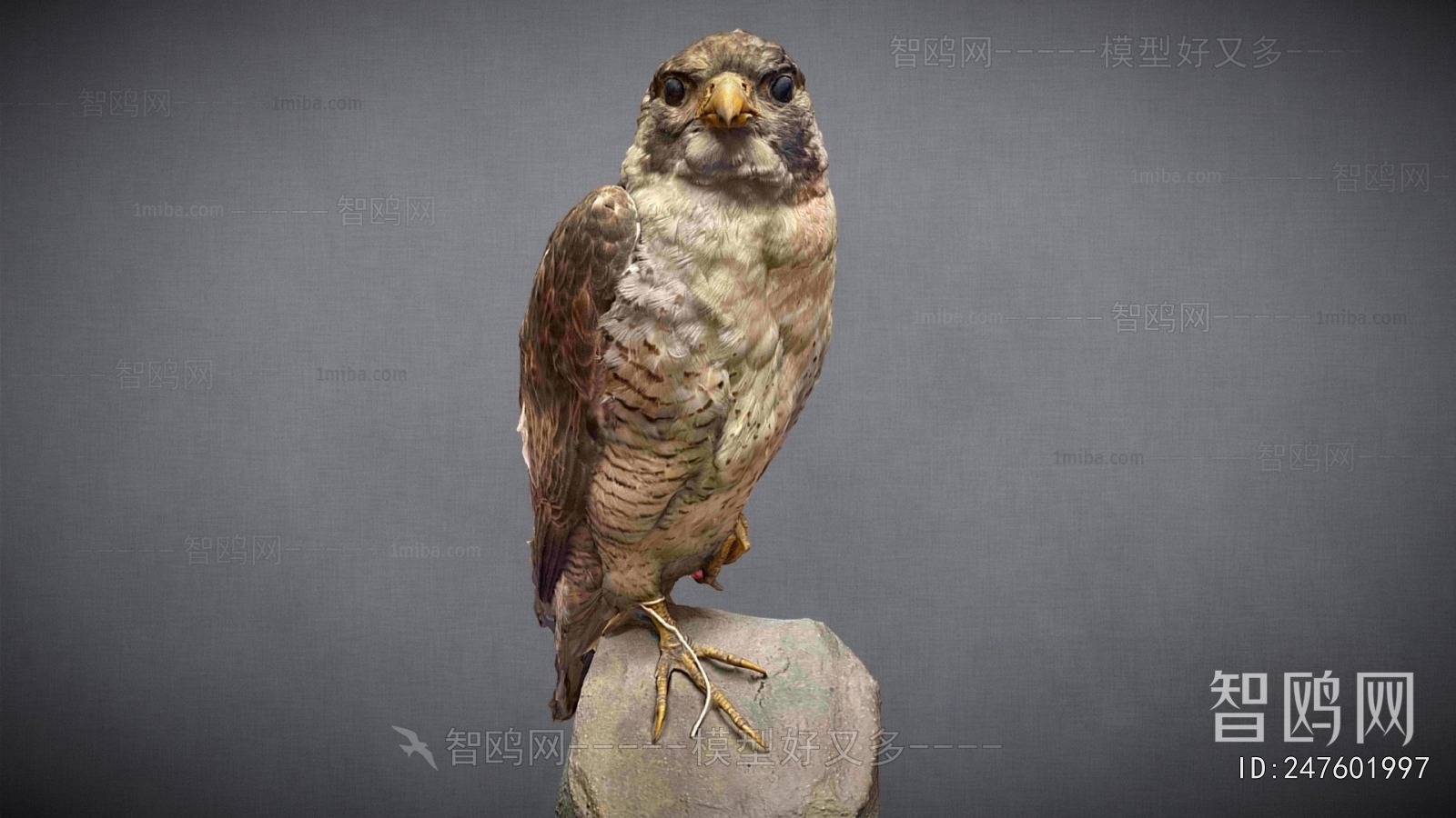 Modern Animal