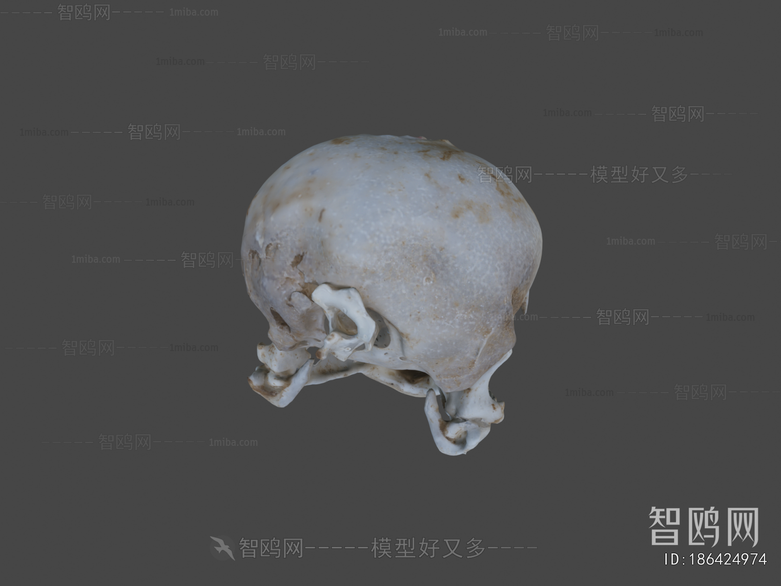Modern Medical Equipment