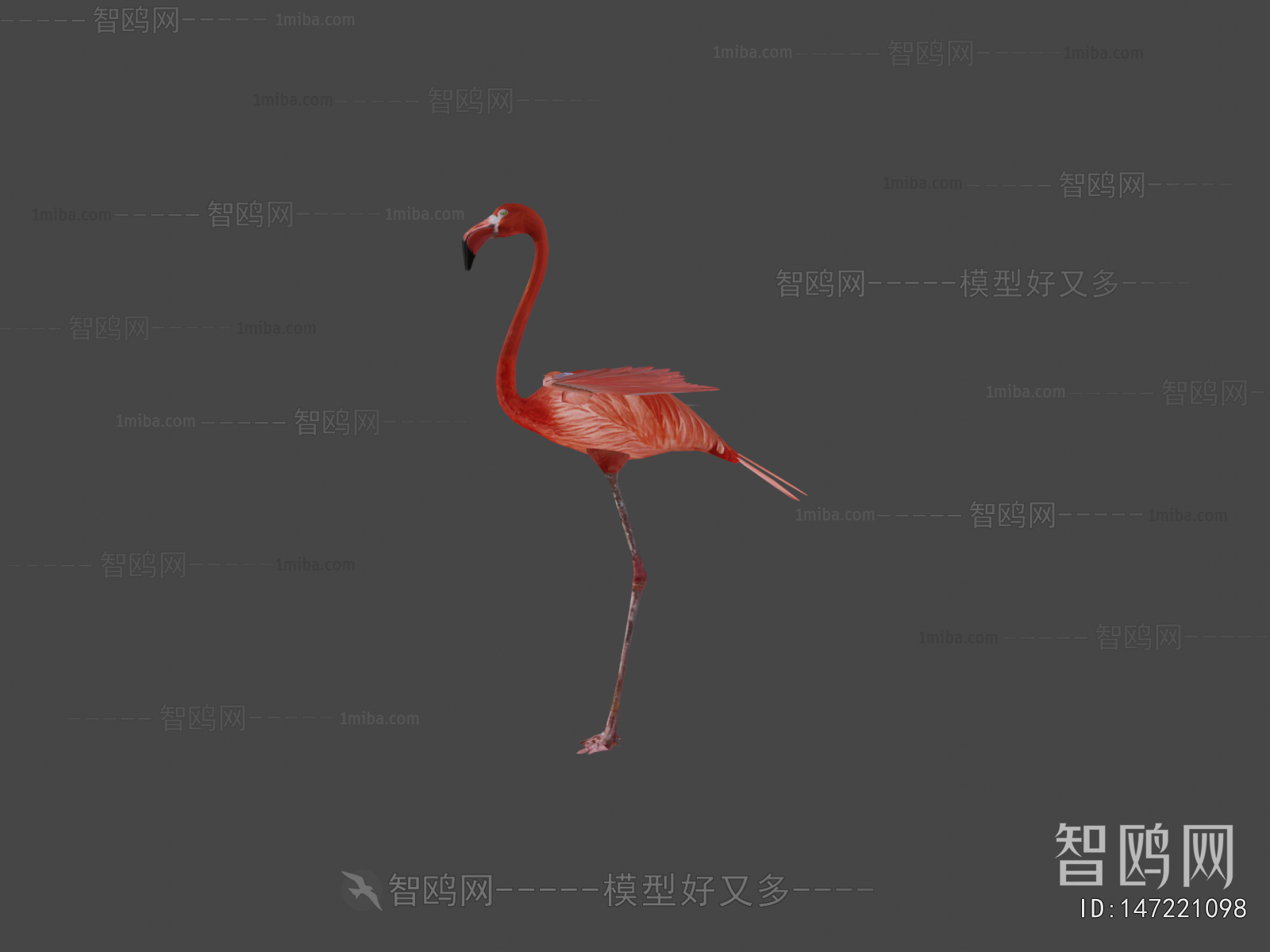 Modern Animal
