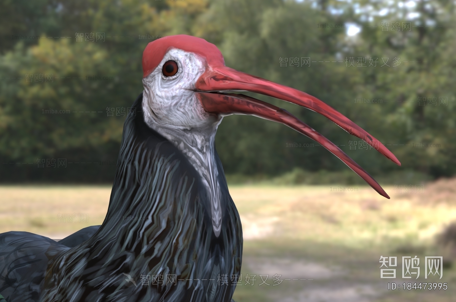Modern Flying Animals