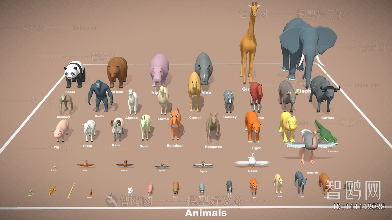 Modern Animal