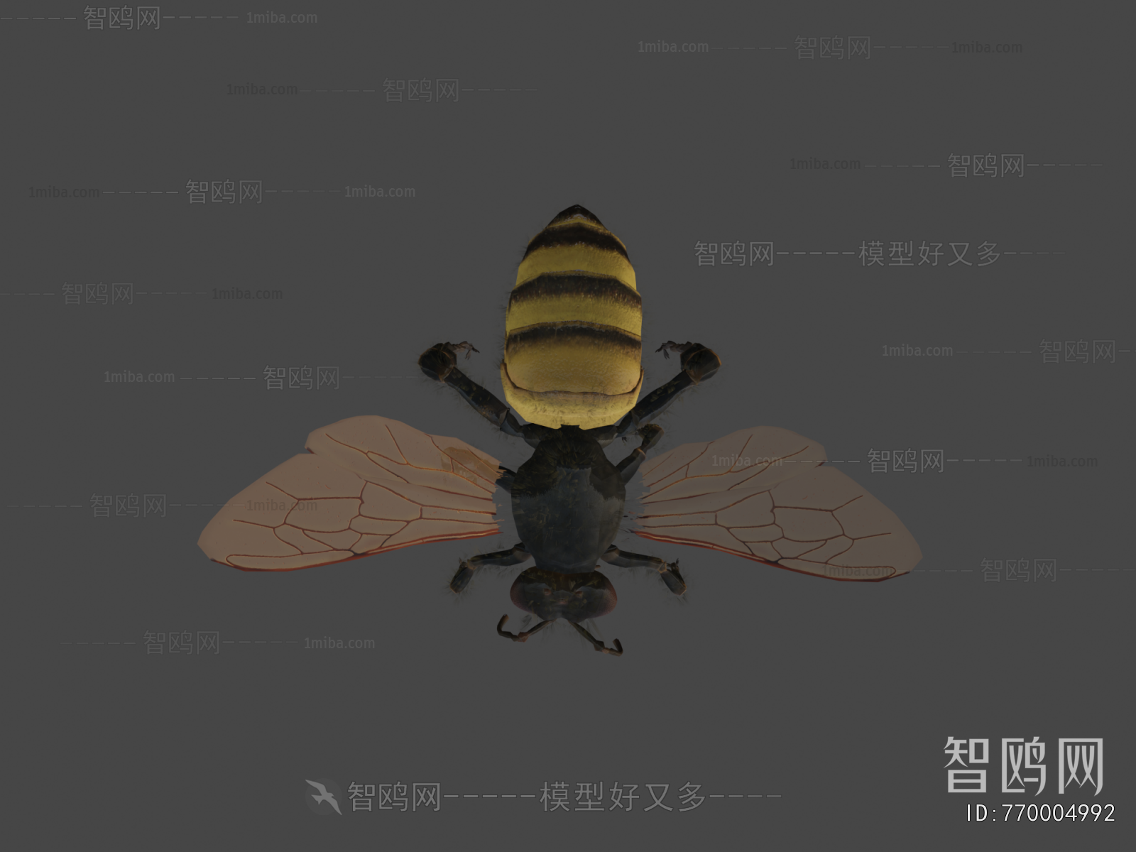 Modern Flying Animals