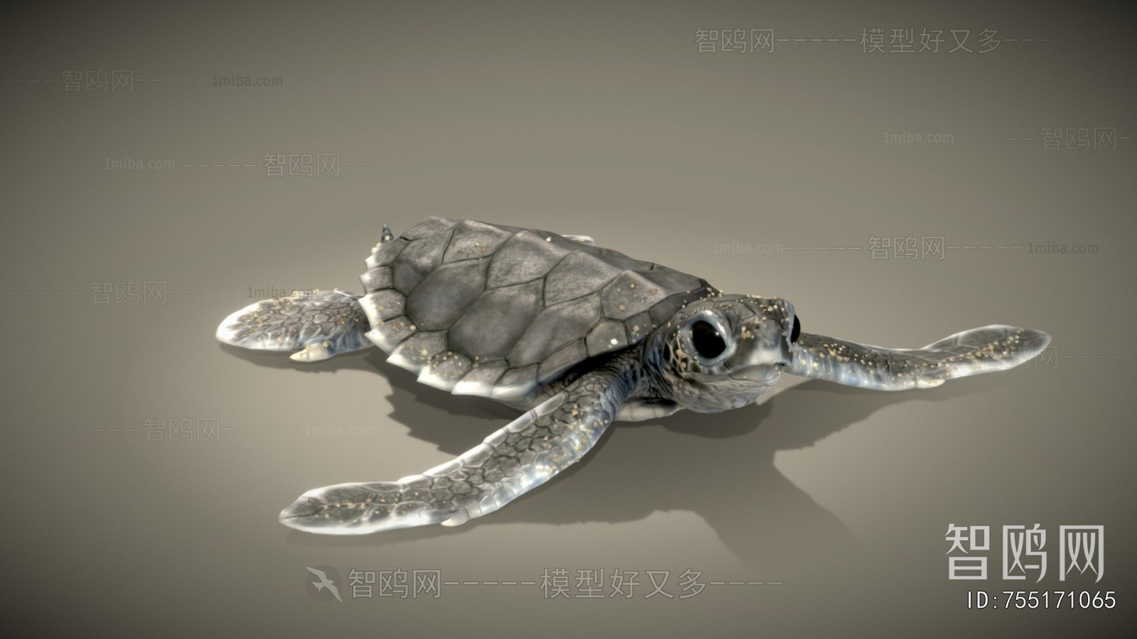 Modern Reptile