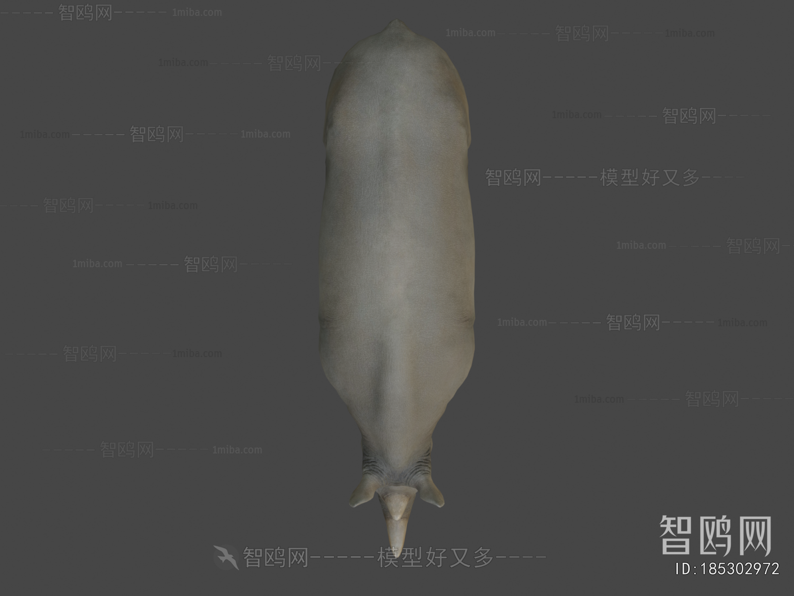 Modern Mammal