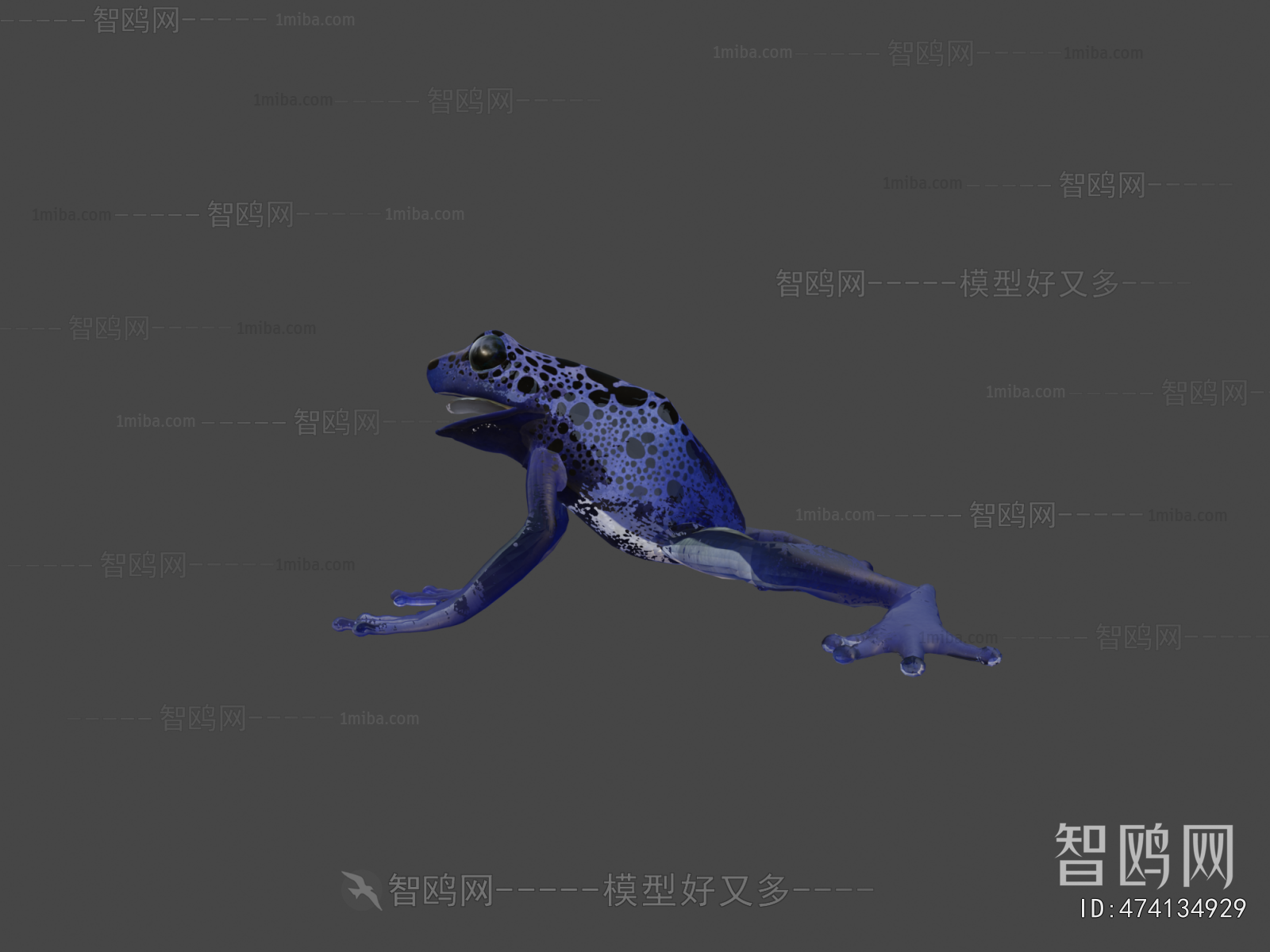 Modern Reptile