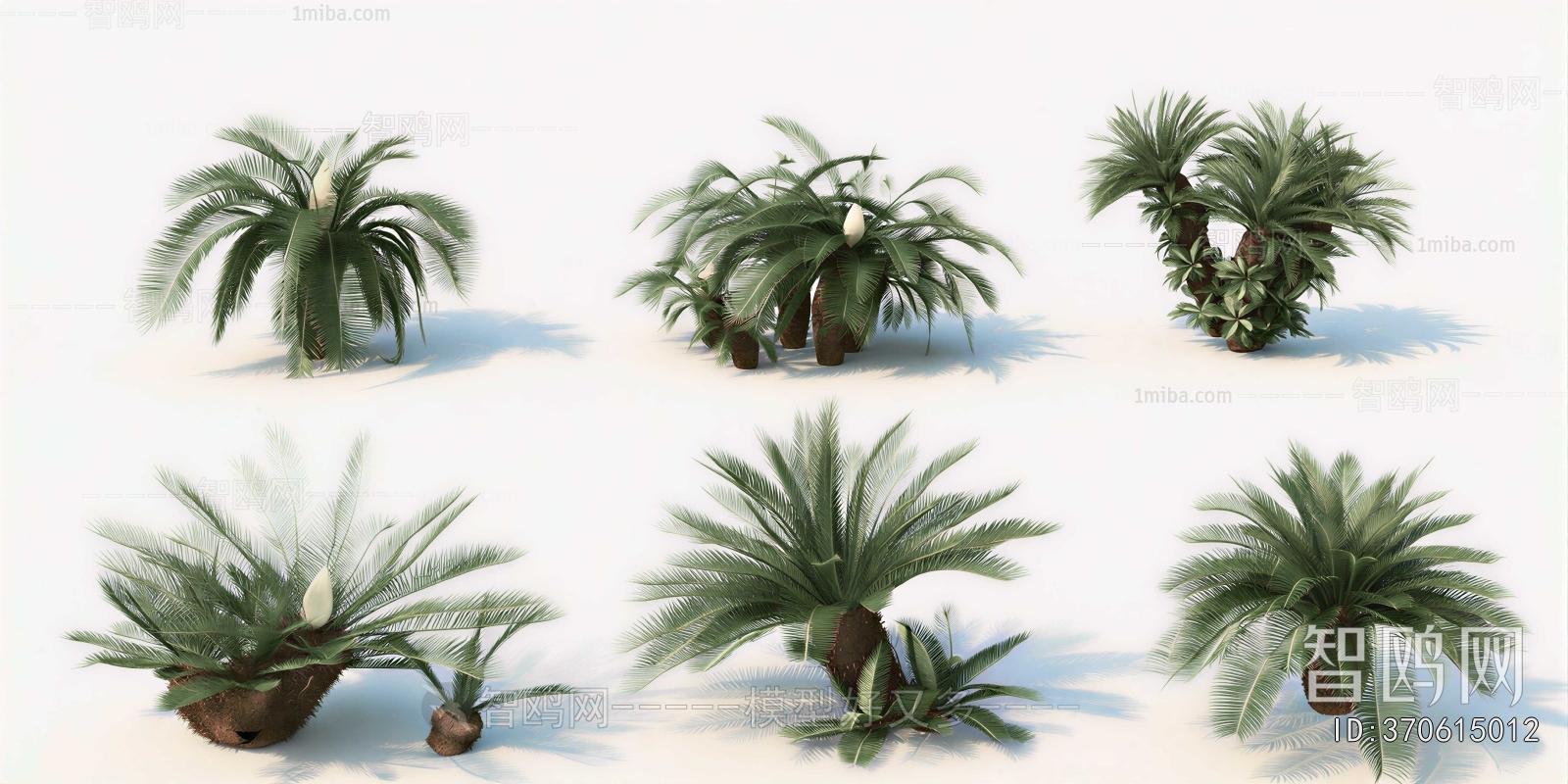 Modern Tree/shrub/grass