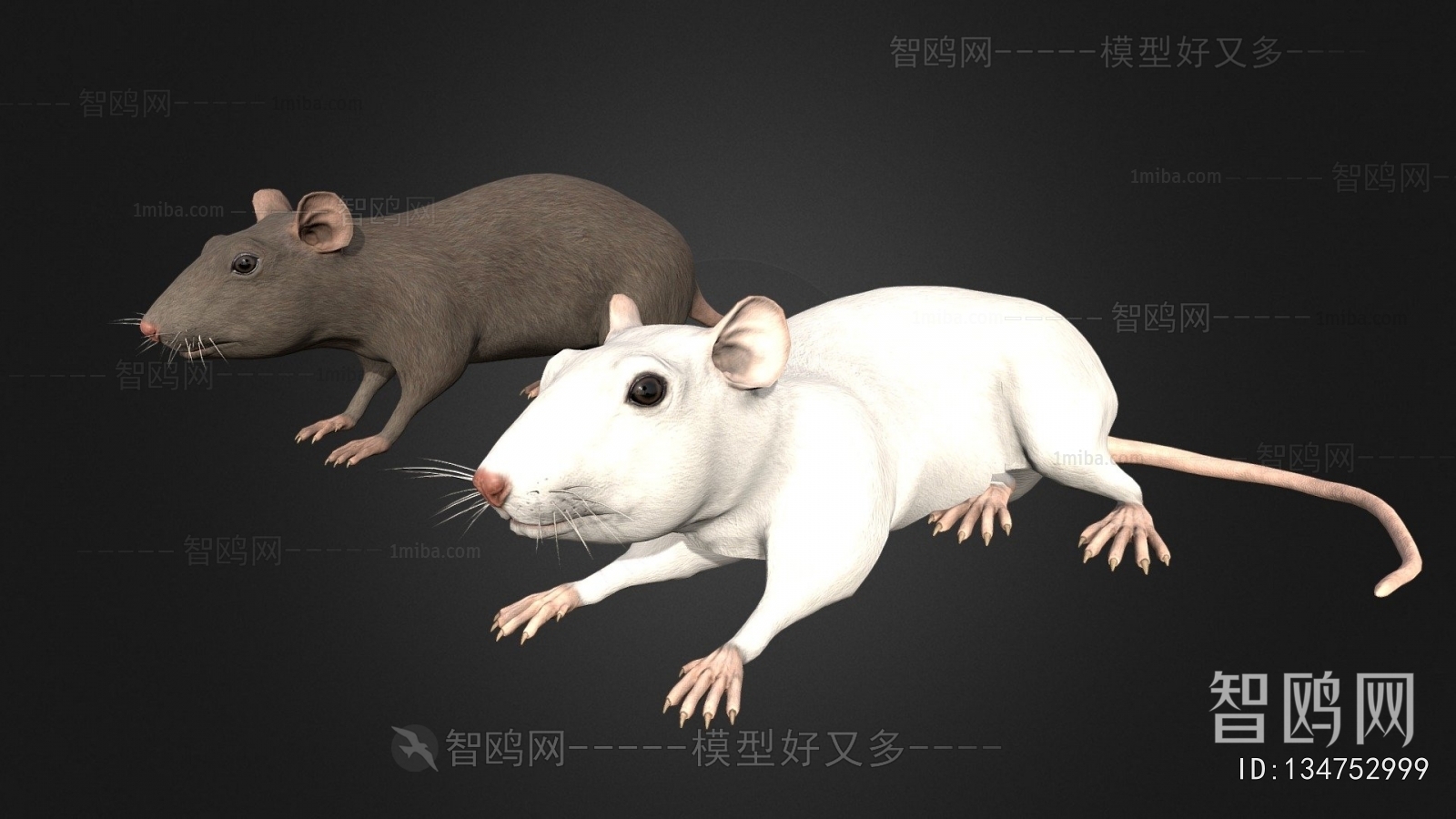 Modern Mammal