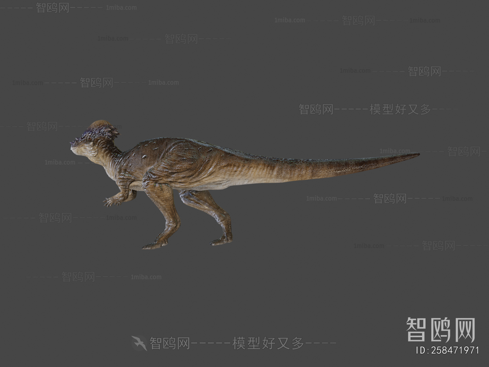 Modern Animal