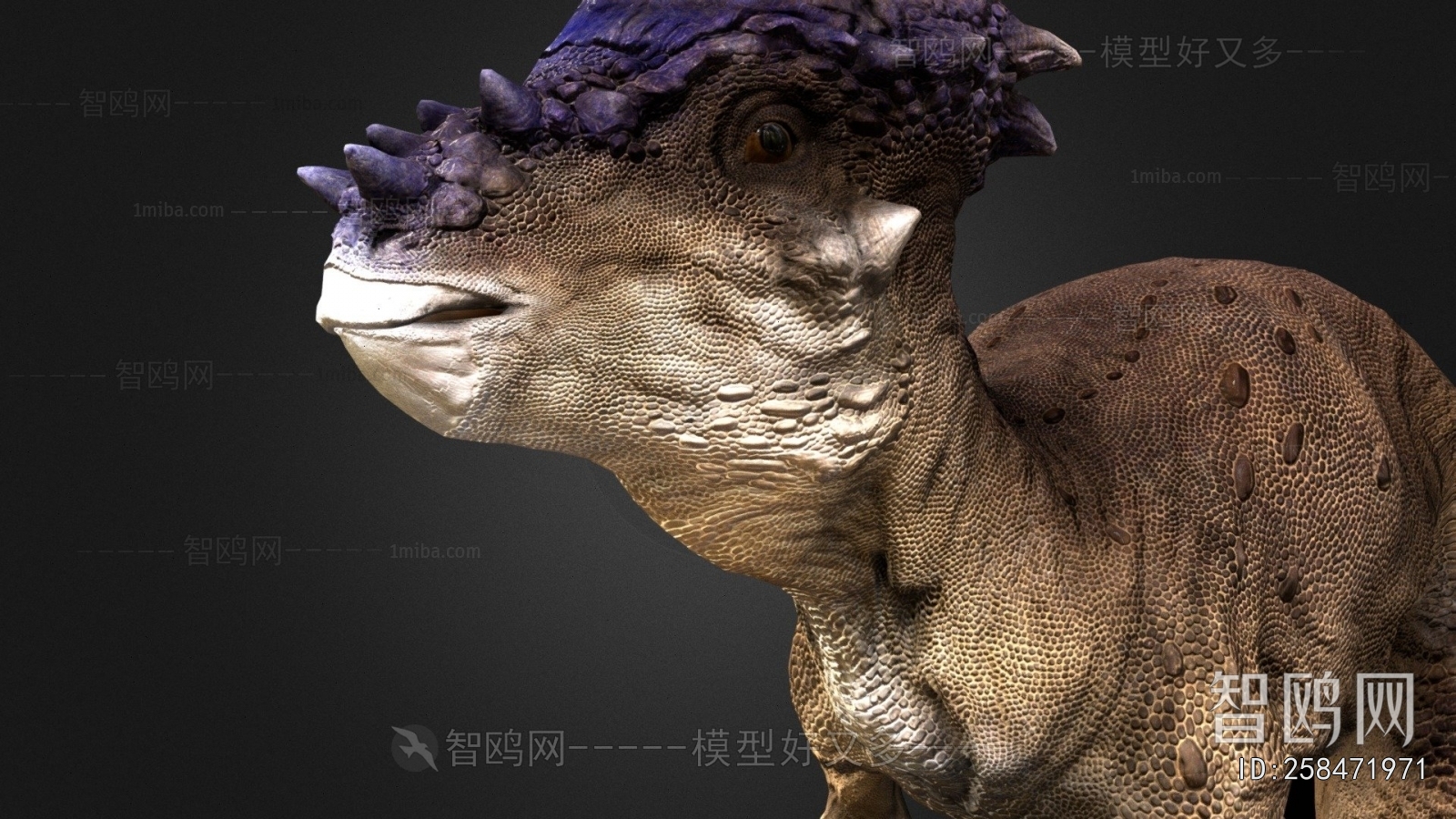 Modern Animal