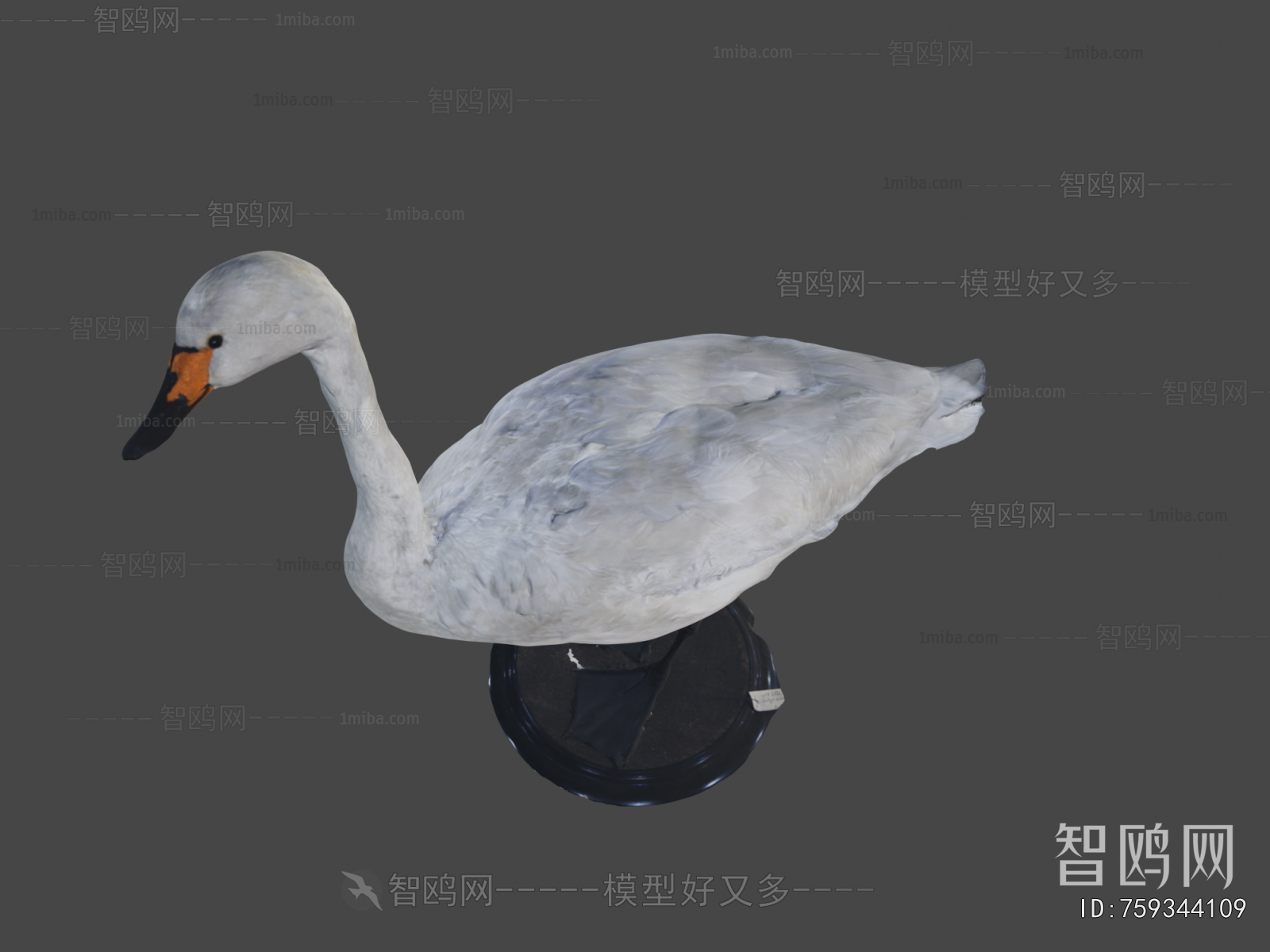 Modern Animal