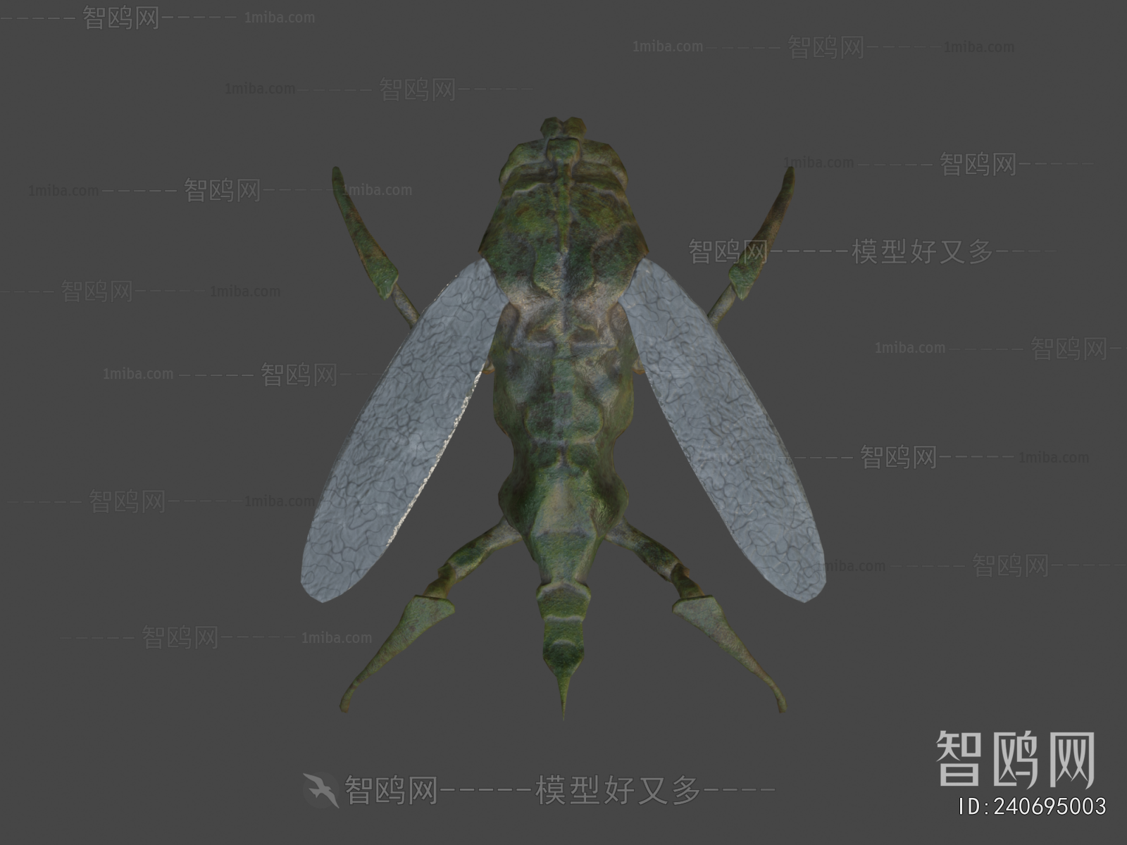 Modern Animal