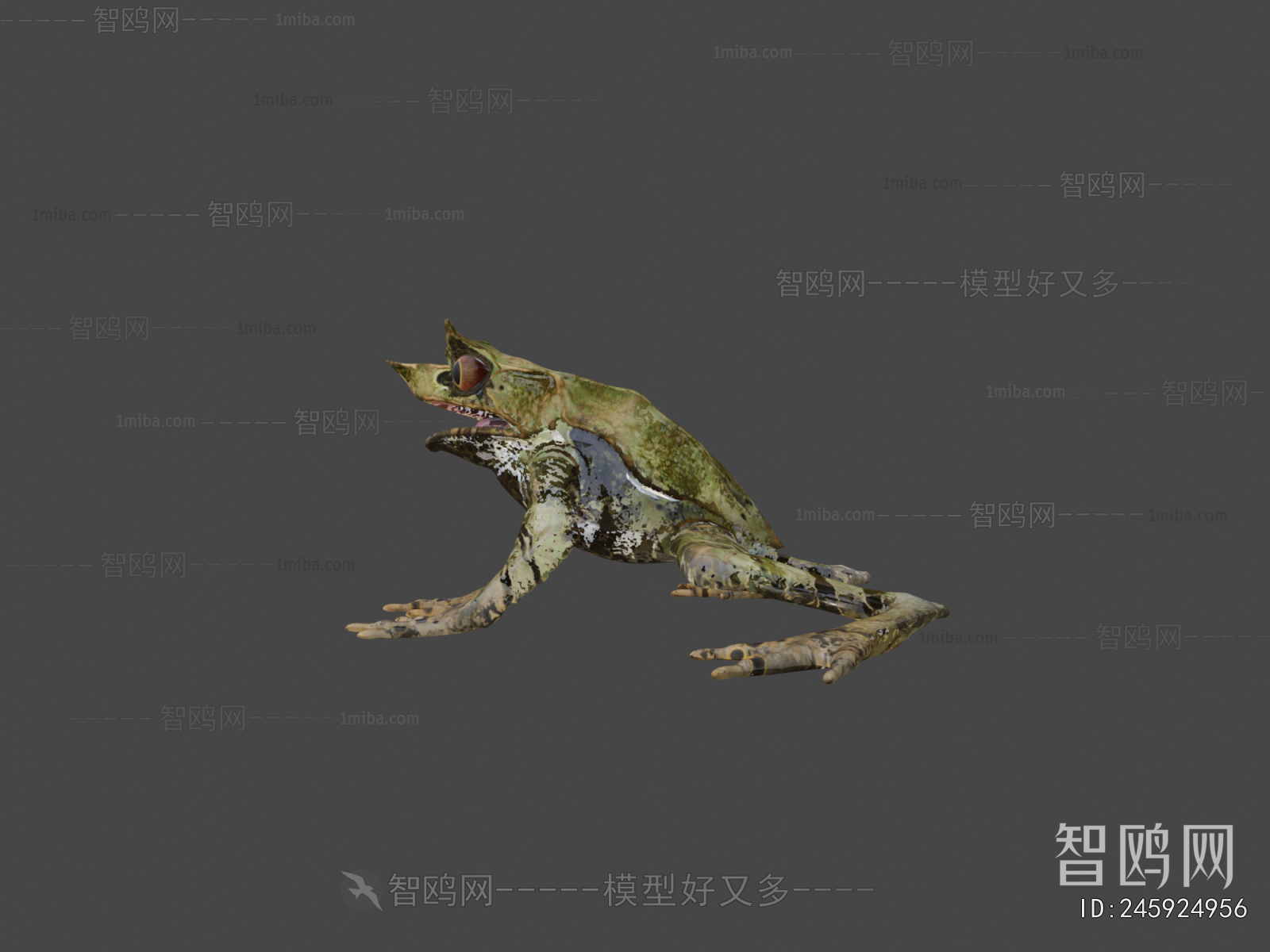 Modern Animal