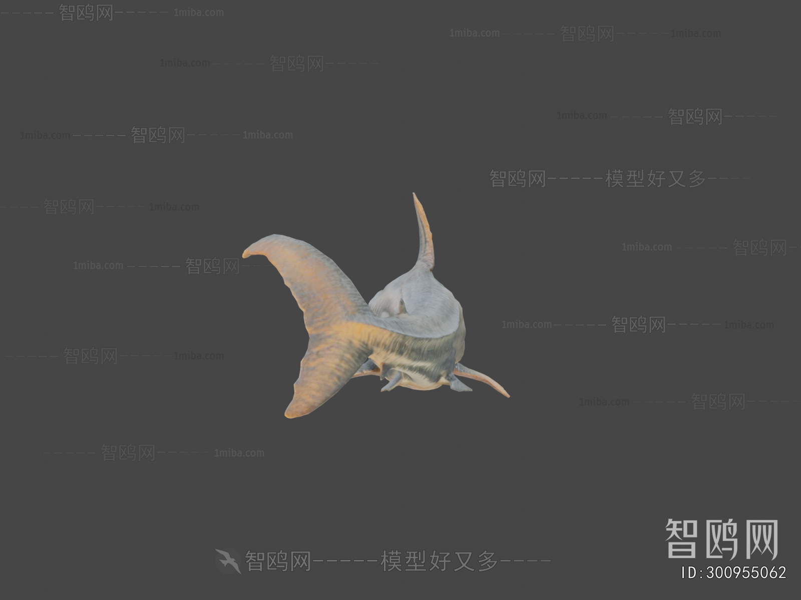 Modern Aquatic Animals