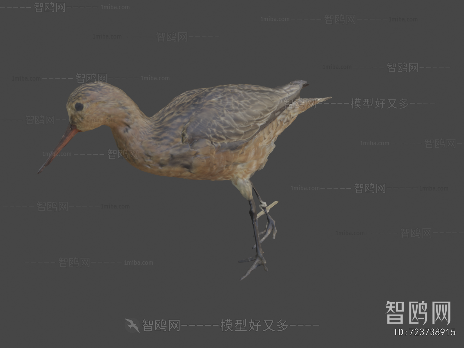 Modern Animal