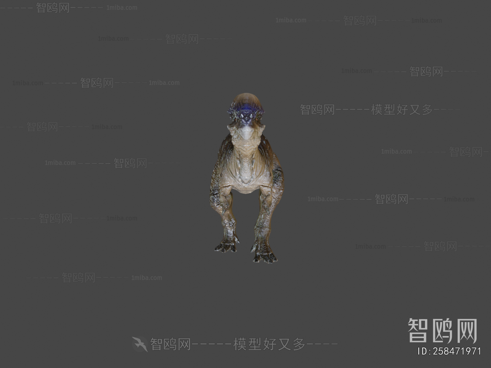 Modern Animal