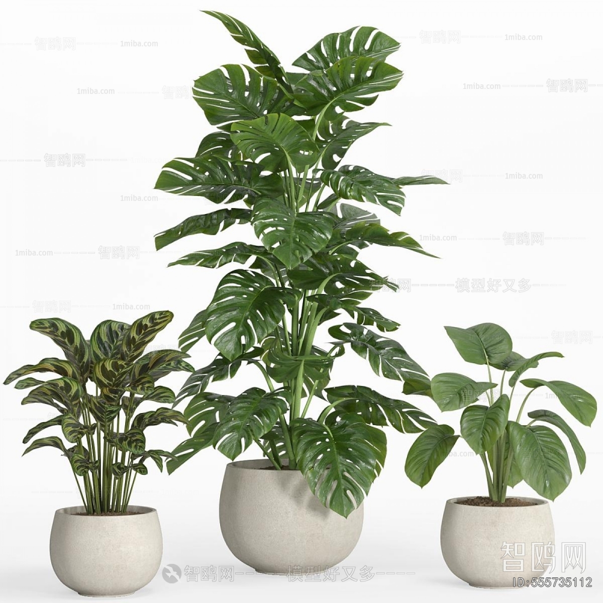 Modern Ground Green Plant Potted Plants