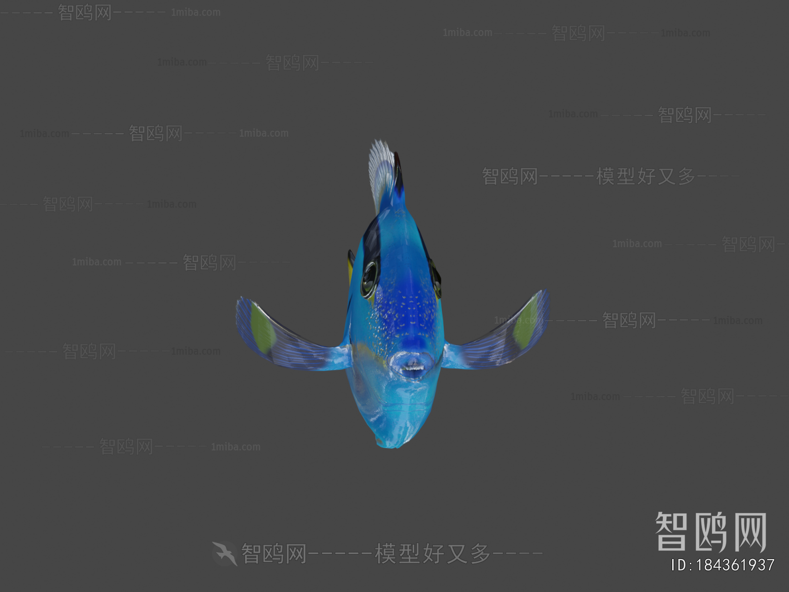 Modern Aquatic Animals