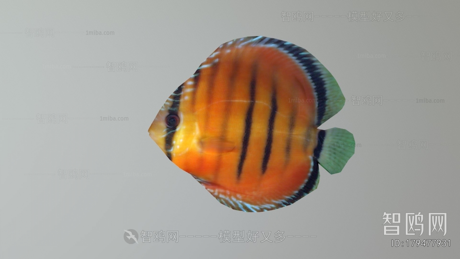 Modern Aquatic Animals