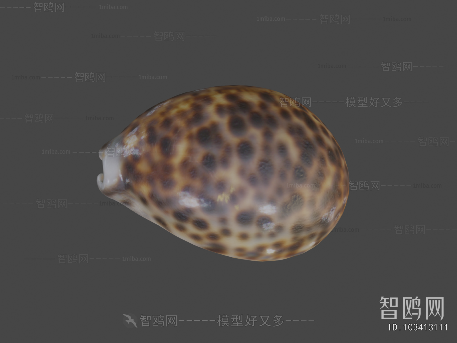 Modern Animal