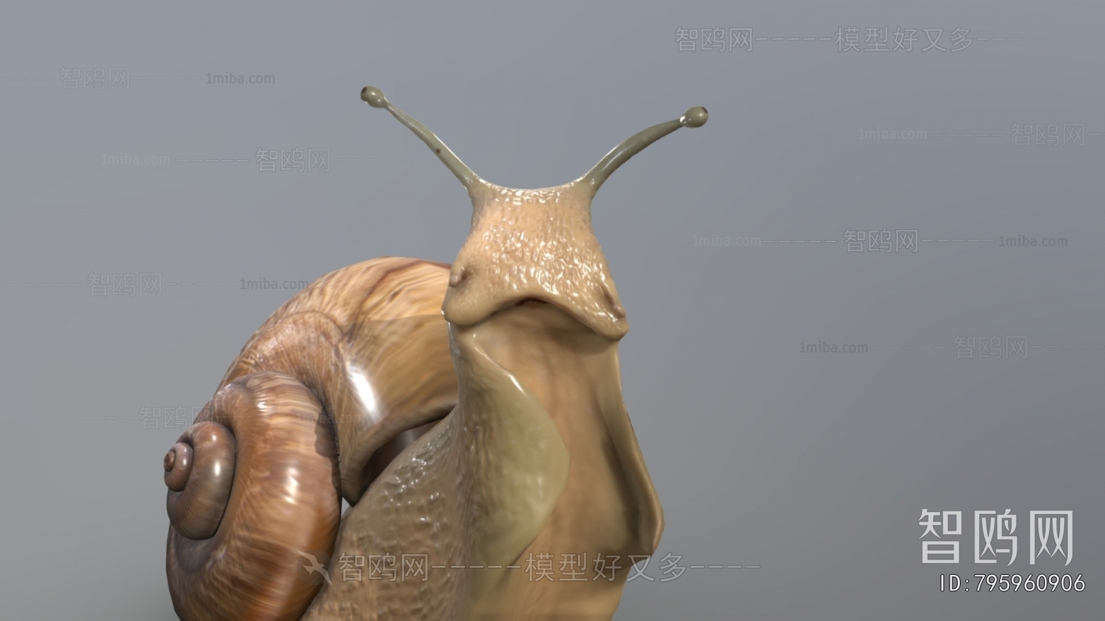 Modern Animal