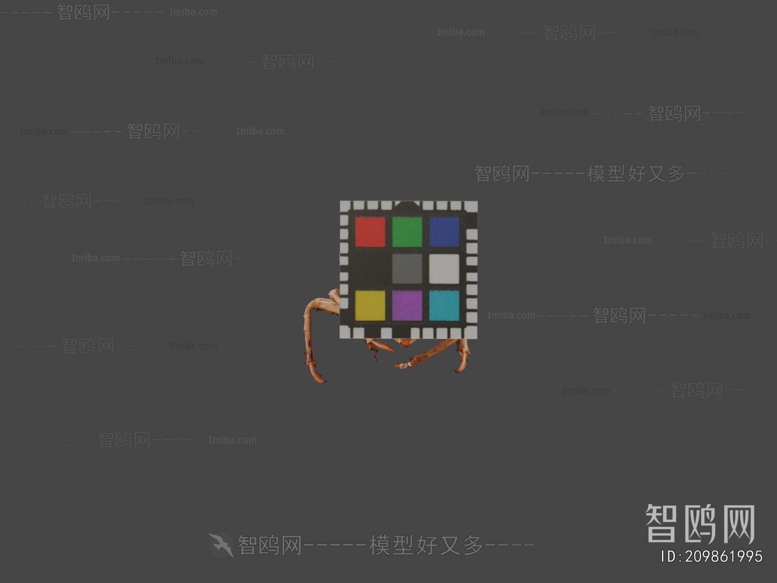 Modern Animal