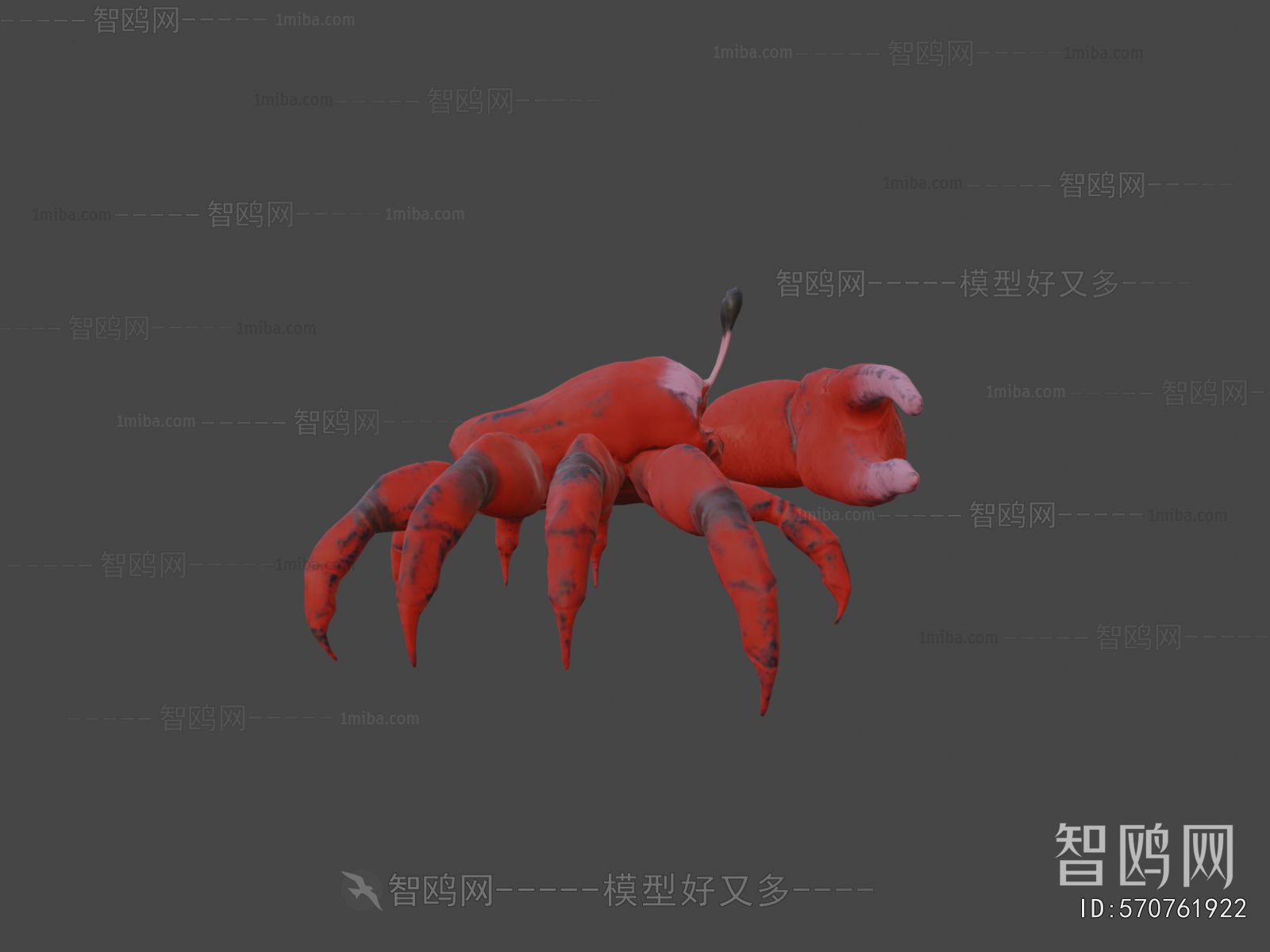 Modern Animal