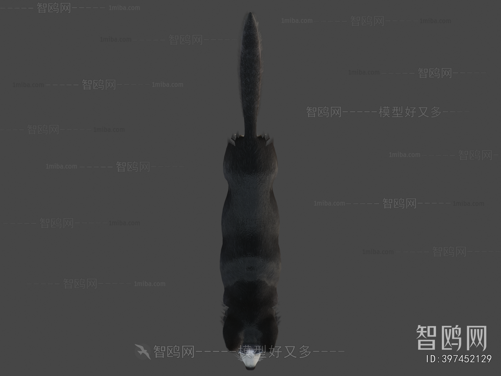 Modern Animal